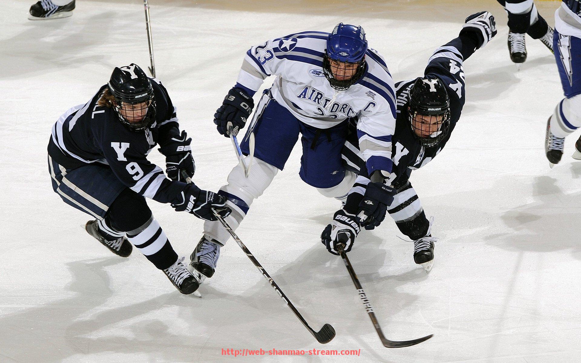 山猫直播官网-曼联2003年欧冠征程与球队表现盘点